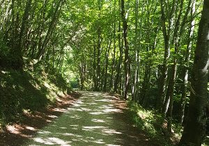 cheminhistoire-2 Il suffit d’un instant - Massages bien-être en cabinet sur Fareins ou à domicile sur Trévoux, Villefranche, Châtillon sur Chalaronne. Praticienne certifiée en massage bien être pour des massages sportifs suedois, californien, lomi lomi, énergétiques tui na du dos ou abhyang, amma assi. pour vos EVJF, évènements ou en entreprises.